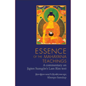 Essence of the Mahayana Teachings